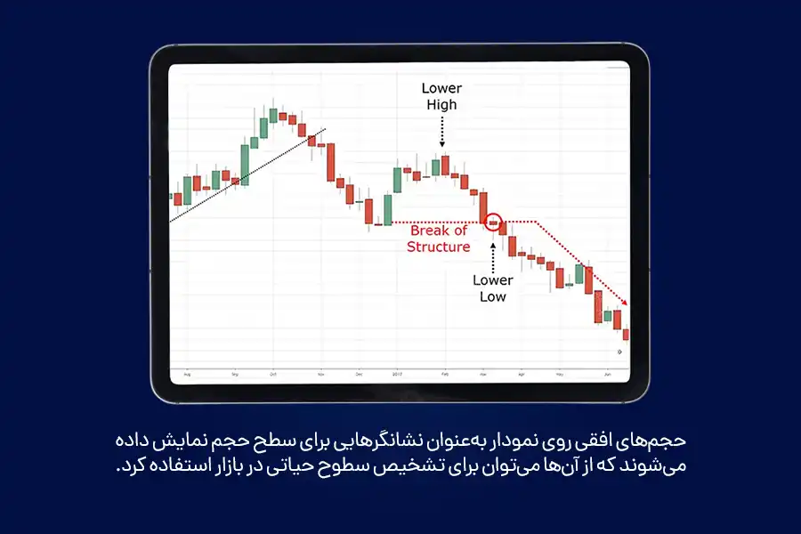 حجم‌های افقی روی نمودار به‌عنوان نشانگرهایی برای سطح حجم نمایش داده می‌شوند که از آن‌ها می‌توان برای تشخیص سطوح حیاتی در بازار استفاده کرد.