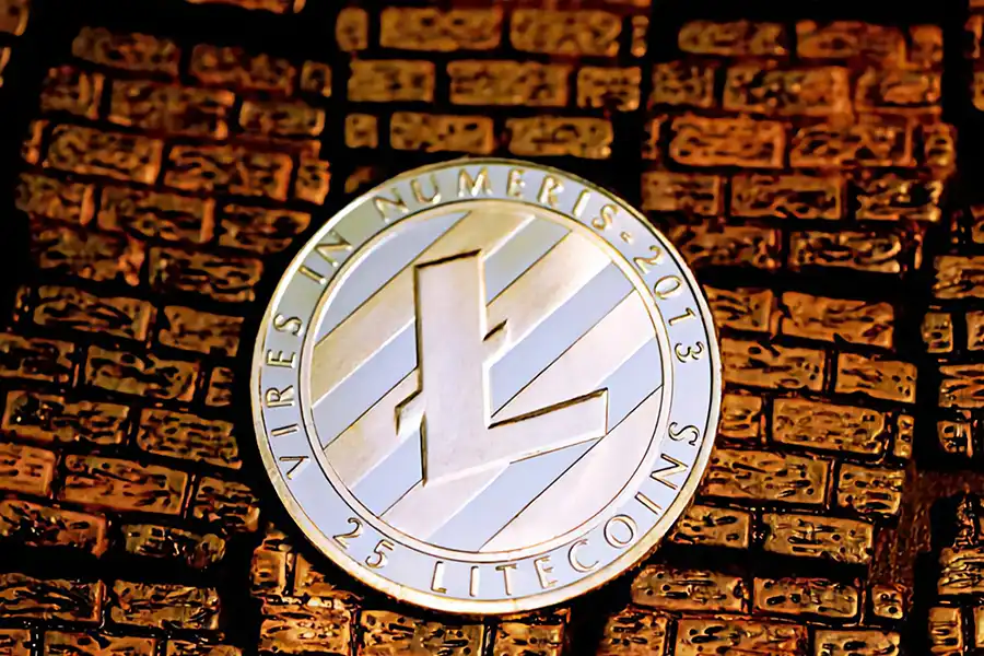  LitecoinPool.org، استخر BTC و ProHashing از بزرگ‌ترین و بهترین استخرهای لایت کوین هستند.